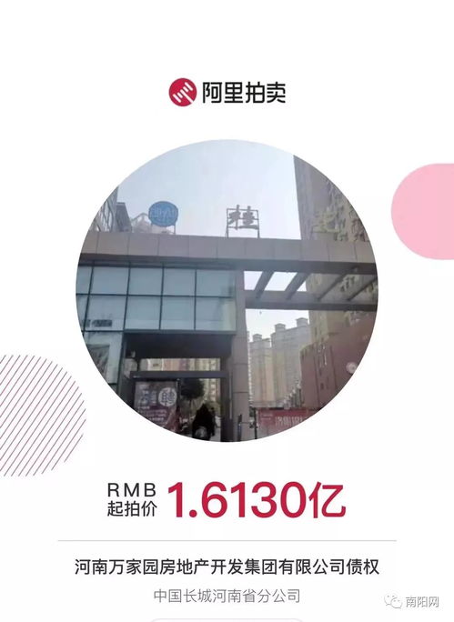 南陽知名房企項目突遭法拍 在建工程1.6億起拍，折射行業困境